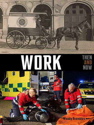 cover image of Work